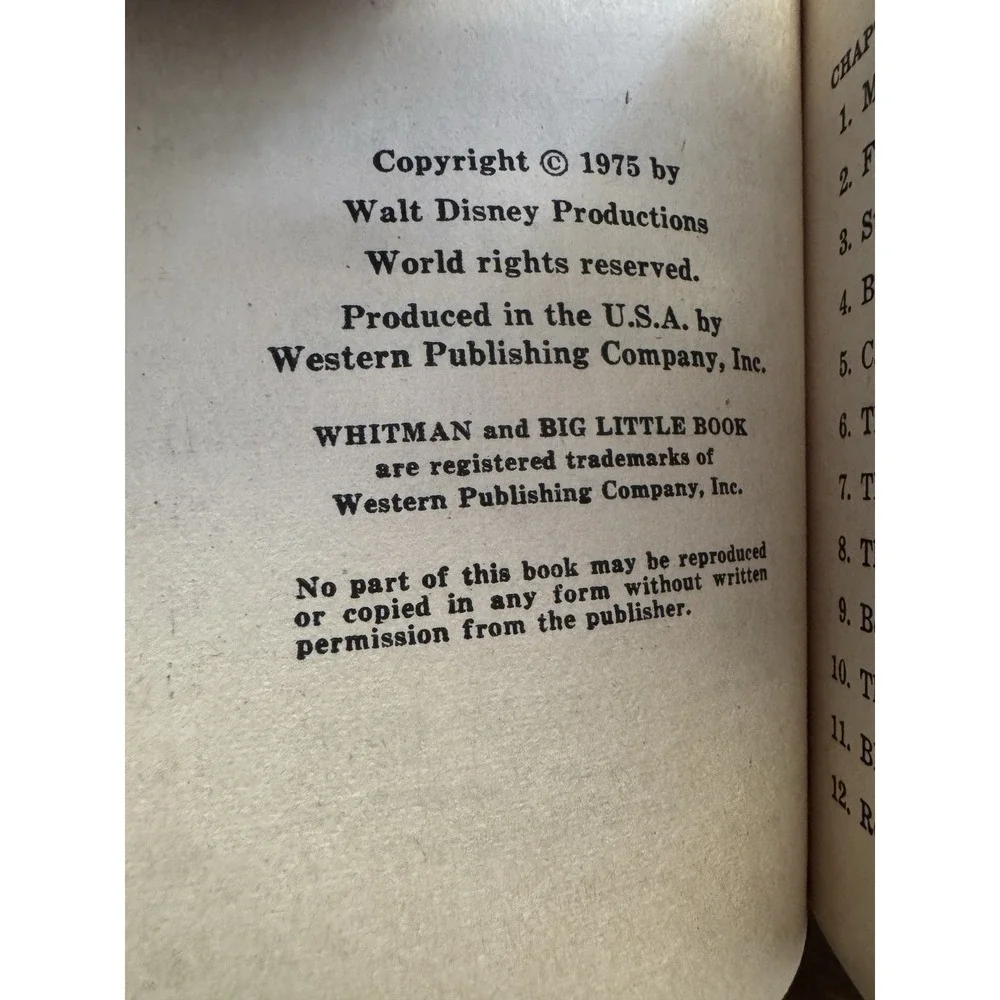 Mickey Mouse Mystery At Disneyland Whitman Little Big Book